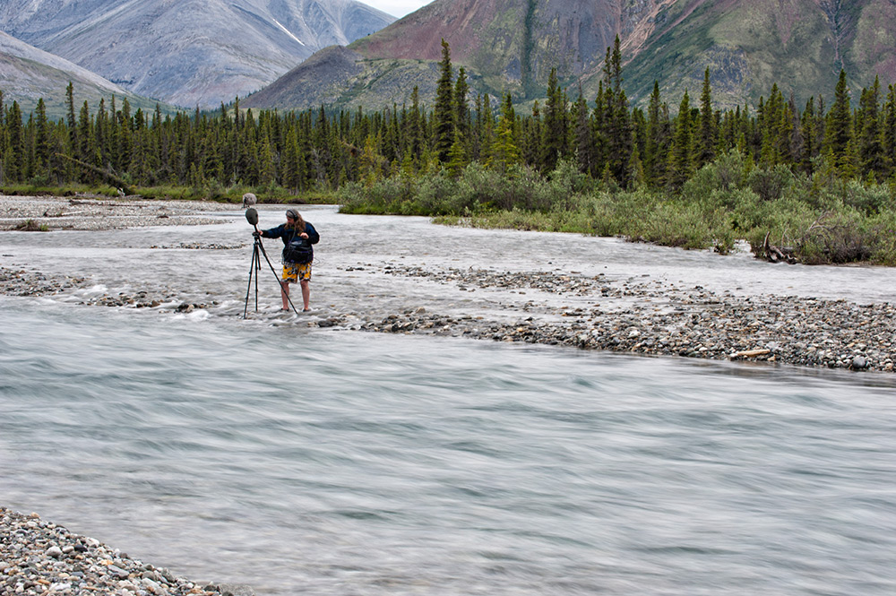 Matthew recording on the Yukon's upper Wind River.